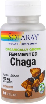 Organically Grown Fermented Chaga, 60 Veggie Caps by Solaray, 補充劑，藥用蘑菇 HK 香港