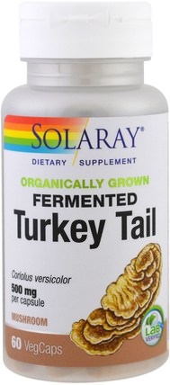 Organically Grown Fermented Turkey Tail, 60 Veggie Caps by Solaray, 補充劑，藥用蘑菇 HK 香港