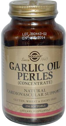 Garlic Oil Perles, (Concentrate), 250 Softgels by Solgar, 補充劑，抗生素，大蒜油 HK 香港