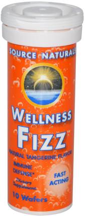 Wellness Fizz, Natural Tangerine Flavor, 10 Wafers by Source Naturals, 補品，泡騰，陰.. HK 香港