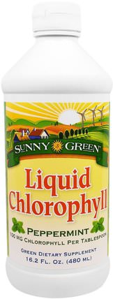 Liquid Chlorophyll, Peppermint, 100 mg, 16.2 fl oz (480 ml) by Sunny Green, 補充劑，葉綠素 HK 香港