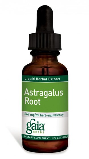 補充劑，adaptogen，感冒和病毒，黃芪液體 - Gaia Herbs, Astragalus Root, 1 fl oz (30 ml)