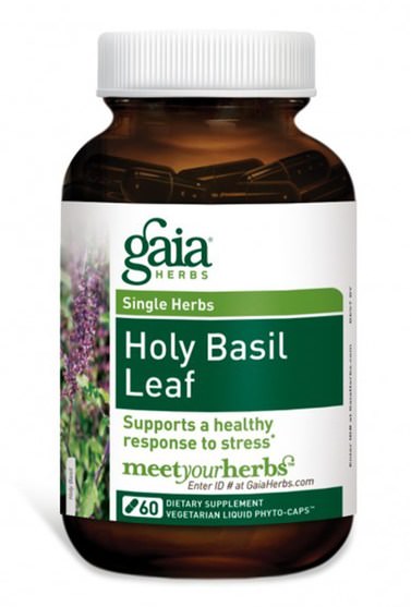 補品，adaptogen，聖羅勒 - Gaia Herbs, Holy Basil Leaf, 60 Vegetarian Liquid Phyto-Caps