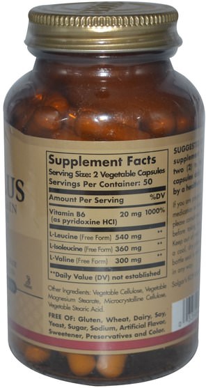 補充劑，氨基酸，bcaa（支鏈氨基酸） - Solgar, BCAA Plus, Free Form, 100 Vegetable Capsules