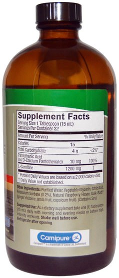 補充劑，氨基酸，左旋肉鹼，左旋肉鹼液 - Natures Answer, Liquid L-Carnitine, Natural Raspberry Flavor, 16 fl oz (480 ml)