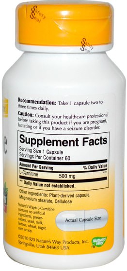 補充劑，氨基酸，左旋肉鹼 - Natures Way, L-Carnitine, 500 mg, 60 Veggie Caps