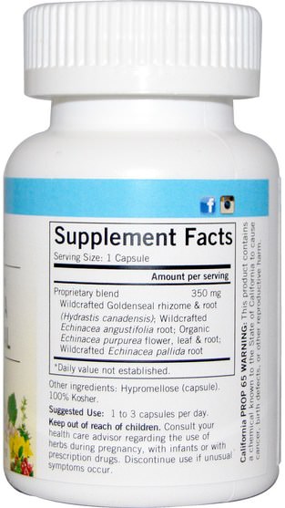 補充劑，抗生素，紫錐花和黃金 - Eclectic Institute, Raw, Echinacea Goldenseal, 350 mg, 90 Non-GMO Veggie Caps