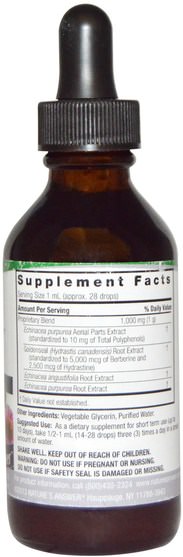 補充劑，抗生素，紫錐花和黃金 - Natures Answer, Echinacea & Goldenseal, Alcohol-Free, 1.000 mg, 2 fl oz (60 ml)