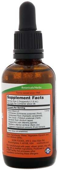 補充劑，抗生素，紫錐花和黃金 - Now Foods, Echinacea & Goldenseal Plus, 2 fl oz (60 ml)