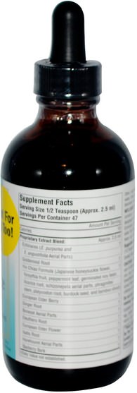 補充劑，抗生素，紫錐花液體，健康，感冒和流感 - Source Naturals, Wellness, Herbal Resistance Liquid, 4 fl oz (118.28 ml)