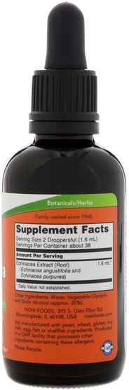 補充劑，抗生素，紫錐花液體 - Now Foods, Echinacea Extract, 2 fl oz (60 ml)