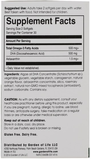 補充劑，efa omega 3 6 9（epa dha），dha - Minami Nutrition, Algae Omega-3, Orange Flavor, 60 Softgels
