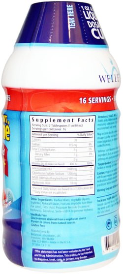 補充劑，氨基葡萄糖，健康，骨骼，骨質疏鬆症，關節健康 - Wellesse Premium Liquid Supplements, Joint Movement Glucosamine, Natural Berry Flavor, 16 fl oz (480 ml)