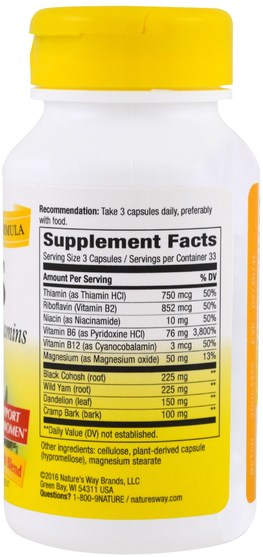 補充劑，健康，經前綜合症 - Natures Way, PMS, With B6 and Other B-Vitamins, 100 Vegetarian Capsules