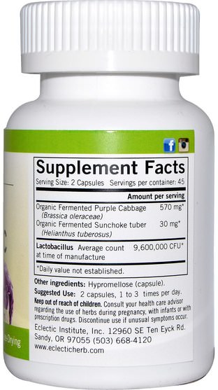 補充劑，益生菌，穩定的益生菌 - Eclectic Institute, Purple Probiotic, 300 mg, 90 Caps