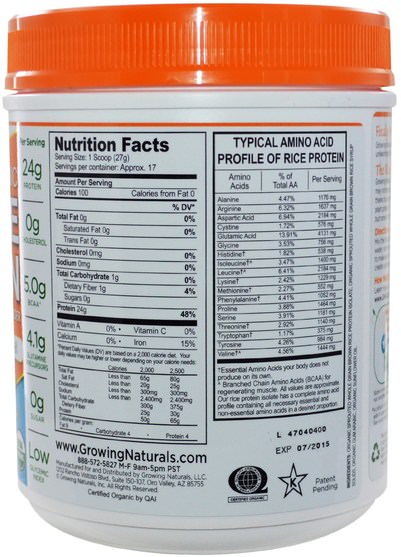 補充劑，蛋白質，大米蛋白粉 - Growing Naturals, Organic Raw Rice Protein, Original, 16.2 oz (459 g)