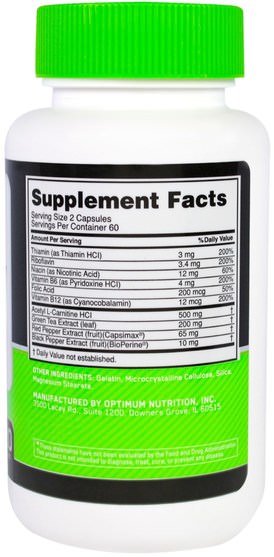 補充劑，蛋白質奶昔，運動 - Optimum Nutrition, Daily Fit, 120 Capsules 