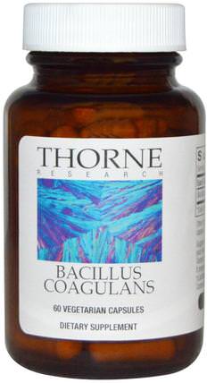 Bacillus Coagulans, 60 Vegetarian Capsules by Thorne Research, 補充劑，益生菌 HK 香港