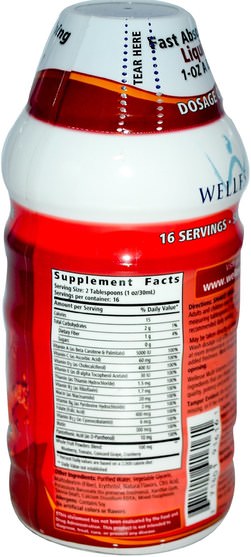 維生素，液體多種維生素 - Wellesse Premium Liquid Supplements, Multi Vitamin+, Sugar Free, Natural Citrus Flavor, 16 fl oz (480 ml)