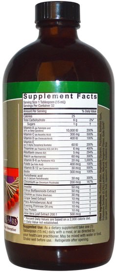 維生素，多種維生素，液體多種維生素 - Natures Answer, Liquid Multiple Vitamins, 16 fl oz (480 ml)