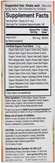 維生素，維生素b12 - Garden of Life, MyKind Organics, B-12 Organic Spray, Raspberry, 2 oz (58 ml)