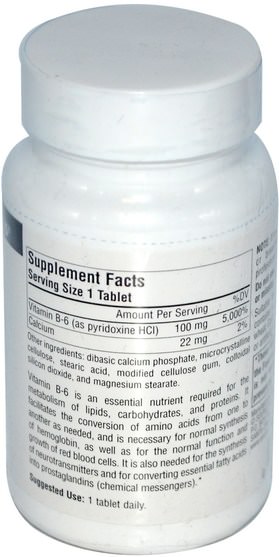 維生素，維生素b6 - 吡哆醇 - Source Naturals, B-6, 100 mg, 250 Tablets