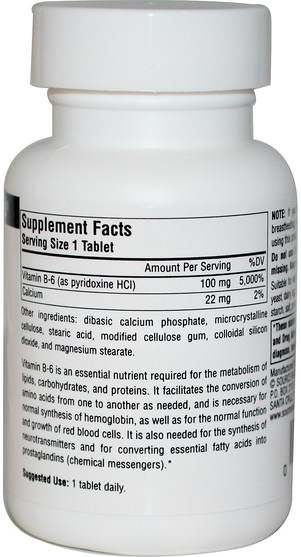 維生素，維生素b6 - 吡哆醇 - Source Naturals, Vitamin B-6, 100 mg, 100 Tablets