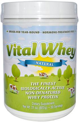 Vital Whey, Natural, 21 oz (600 g) by Well Wisdom, 補充劑，乳清蛋白 HK 香港