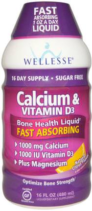 Calcium & Vitamin D3, Sugar Free, Natural Citrus Flavor, 16 fl oz (480 ml) by Wellesse Premium Liquid Supplements, 補品，礦物質，鈣，液體鈣 HK 香港