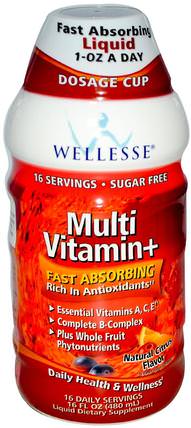 Multi Vitamin+, Sugar Free, Natural Citrus Flavor, 16 fl oz (480 ml) by Wellesse Premium Liquid Supplements, 維生素，液體多種維生素 HK 香港