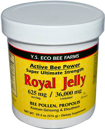 Royal Jelly, 20.3 oz (576 g) by Y.S. Eco Bee Farms, 補充劑，蜂產品，蜂王漿，食品，甜味劑 HK 香港