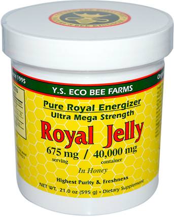 Royal Jelly, in Honey, 675 mg, 21.0 oz (595 g) by Y.S. Eco Bee Farms, 補充劑，蜂產品，蜂王漿，食品，甜味劑 HK 香港
