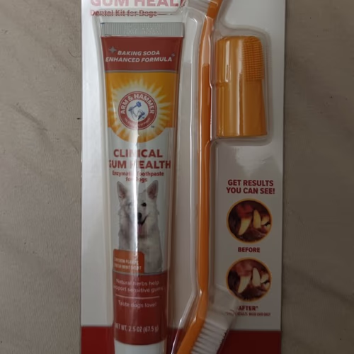 寵物牙科護理、寵物健康、寵物 寵物牙科護理、寵物健康、寵物
