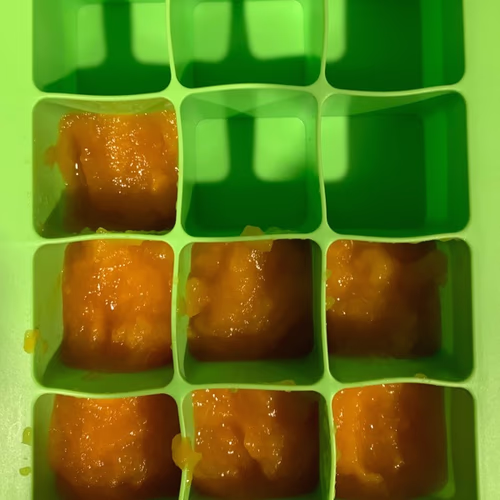 Green Sprouts 新鮮嬰兒食品冷凍托盤,綠色,1 個托盤 香港 Green Sprouts 新鮮嬰兒食品冷凍托盤,綠色,1 個托盤 香港