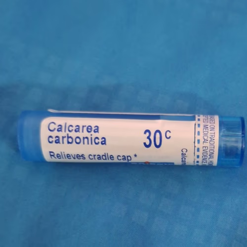 Calcarea Carbonica - 順勢療法 Calcarea Carbonica - 順勢療法