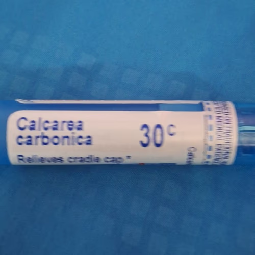 Calcarea Carbonica - 順勢療法 Calcarea Carbonica - 順勢療法