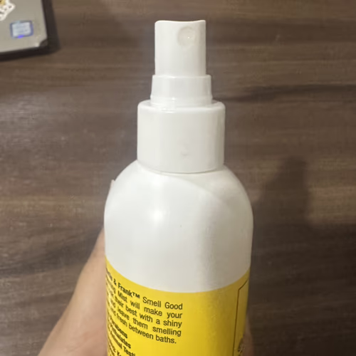 寵物美容, 寵物