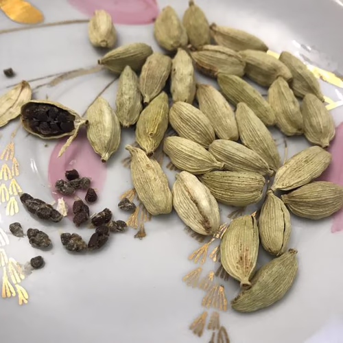 小荳蔻 - 香草和香料 小荳蔻 - 香草和香料