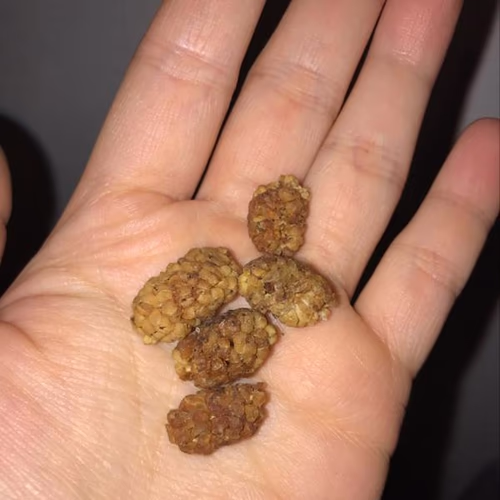 桑葚、綠色蔬菜和超級食品 桑葚、綠色蔬菜和超級食品
