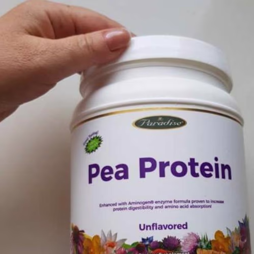 Paradise Herbs, Pea Protein 香港 Paradise Herbs, Pea Protein 香港