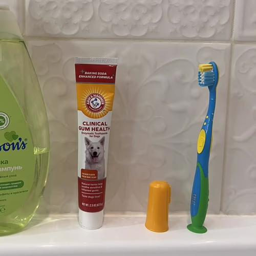 Arm & Hammer 臨床牙齦健康,狗用牙科套件,雞肉,3 件套 香港 Arm & Hammer 臨床牙齦健康,狗用牙科套件,雞肉,3 件套 香港