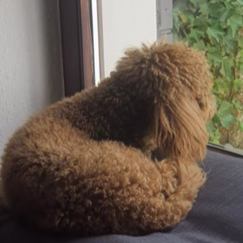  香港