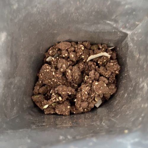 蛋白質零食 - 格蘭諾拉麥片