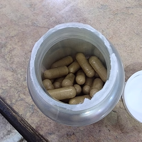 白樺茸 - 蘑菇 白樺茸 - 蘑菇