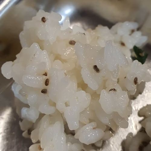 奇亞籽、奇亞籽補充劑、堅果和種子、魚油和歐米茄 (EPA DHA)、綠色食品和超級食品 奇亞籽、奇亞籽補充劑、堅果和種子、魚油和歐米茄 (EPA DHA)、綠色食品和超級食品