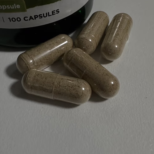 水飛薊(水飛薊素)- 草藥 水飛薊(水飛薊素)- 草藥
