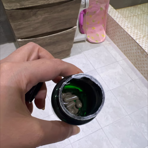 聖約翰草、草藥、草藥和順勢療法 聖約翰草、草藥、草藥和順勢療法