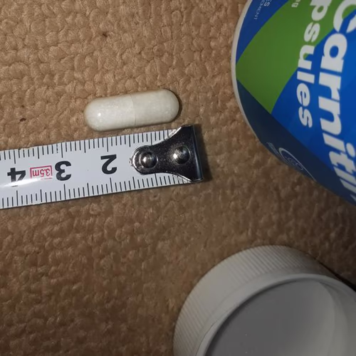 左旋肉鹼 - 運動後恢復/胺基酸 左旋肉鹼 - 運動後恢復/胺基酸