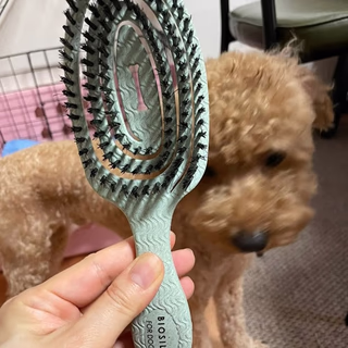 Biosilk 野豬毛刷,狗用,1 把刷子 HK Biosilk 野豬毛刷,狗用,1 把刷子 HK