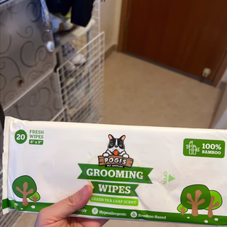 Pogi's Pet Supplies 美容濕紙巾，旅行裝，綠茶葉，6 片裝，每片 20 片新鮮濕紙巾 HK